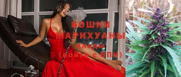 индика Алексеевка