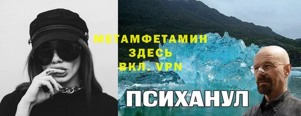 индика Алексеевка