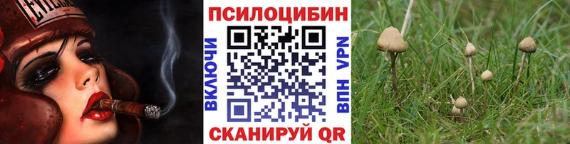 Псилоцибиновые грибы Cubensis  гидра   Ардатов  как найти закладки 